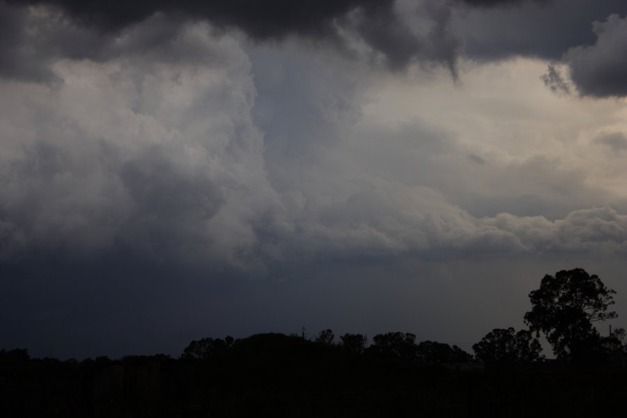 cumulonimbus thunderstorm_base : Schofields, NSW   31 January 2008