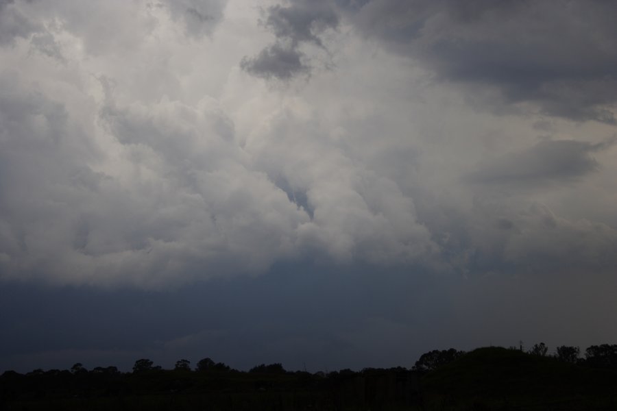 updraft thunderstorm_updrafts : Schofields, NSW   31 January 2008