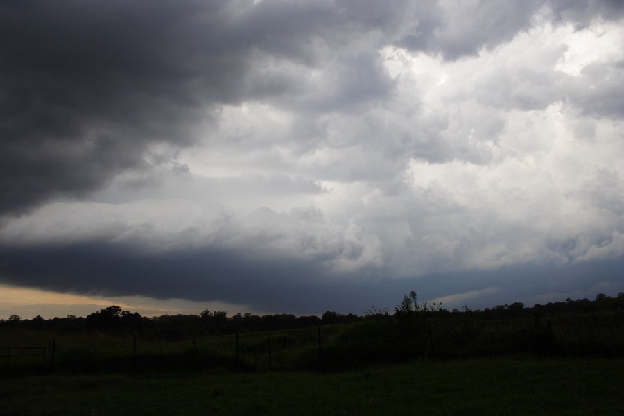 cumulonimbus thunderstorm_base : Schofields, NSW   31 January 2008