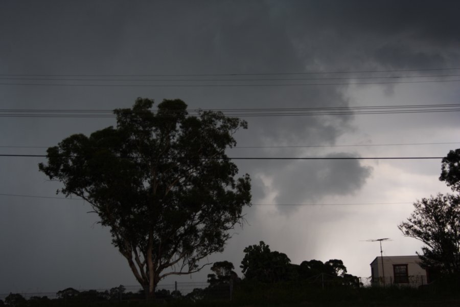 raincascade precipitation_cascade : Schofields, NSW   31 January 2008