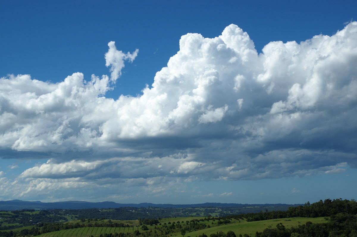 cumulus congestus : McLeans Ridges, NSW   7 February 2008