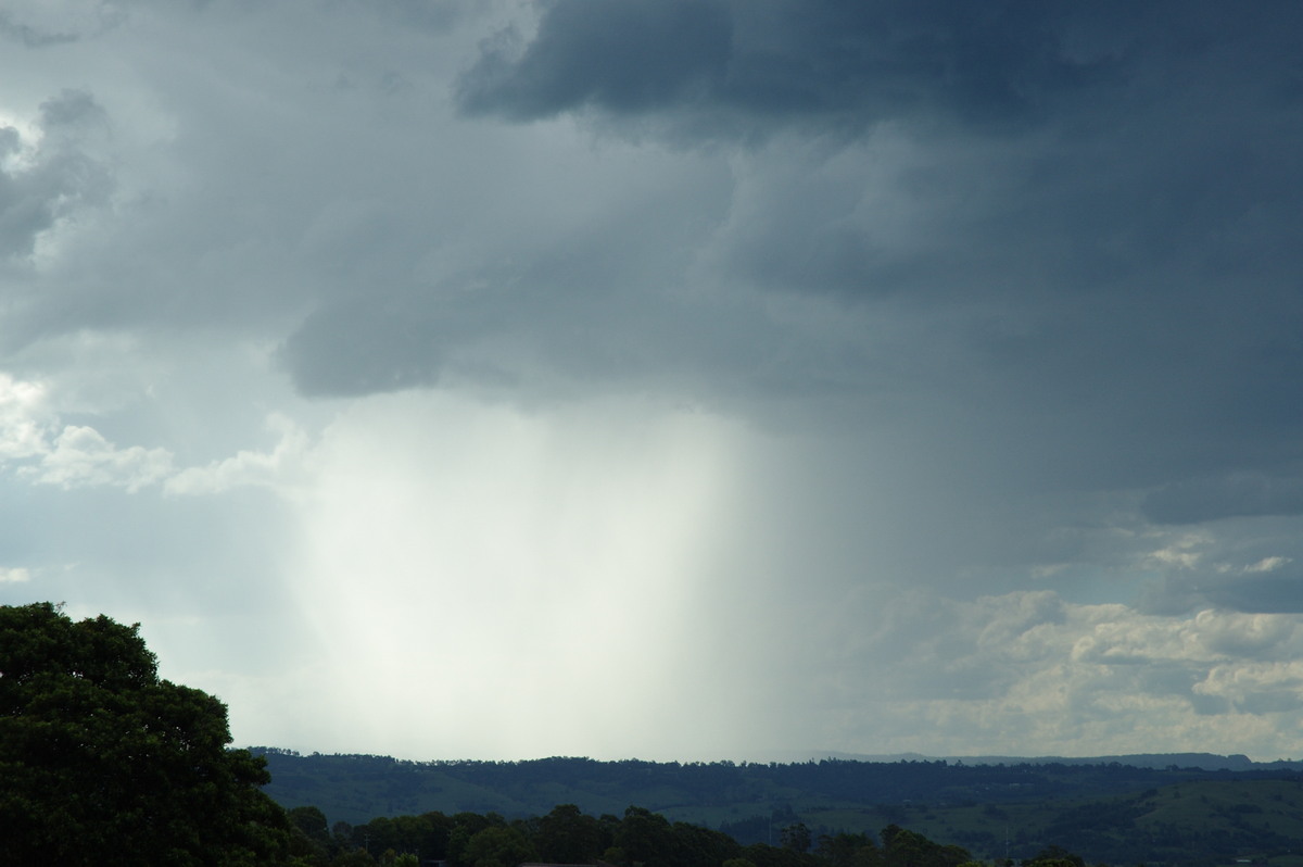 raincascade precipitation_cascade : McLeans Ridges, NSW   7 February 2008