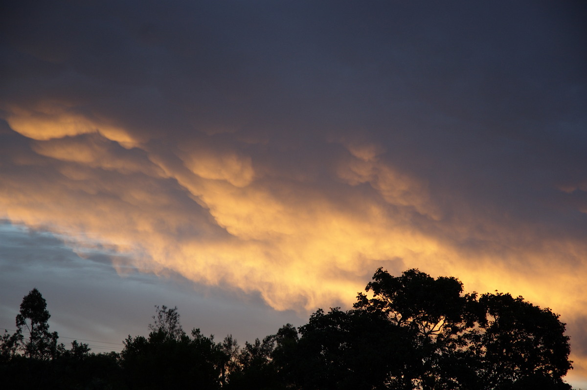 mammatus mammatus_cloud : McLeans Ridges, NSW   10 February 2008