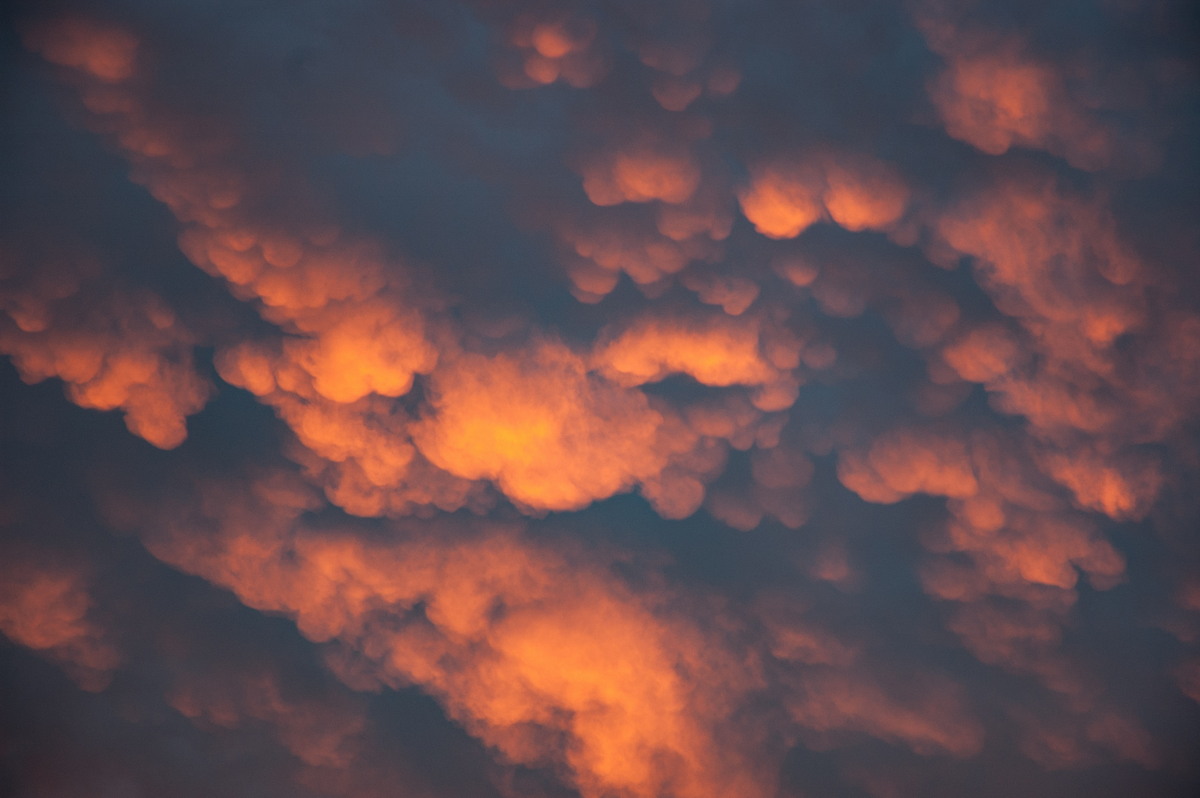 mammatus mammatus_cloud : McLeans Ridges, NSW   10 February 2008