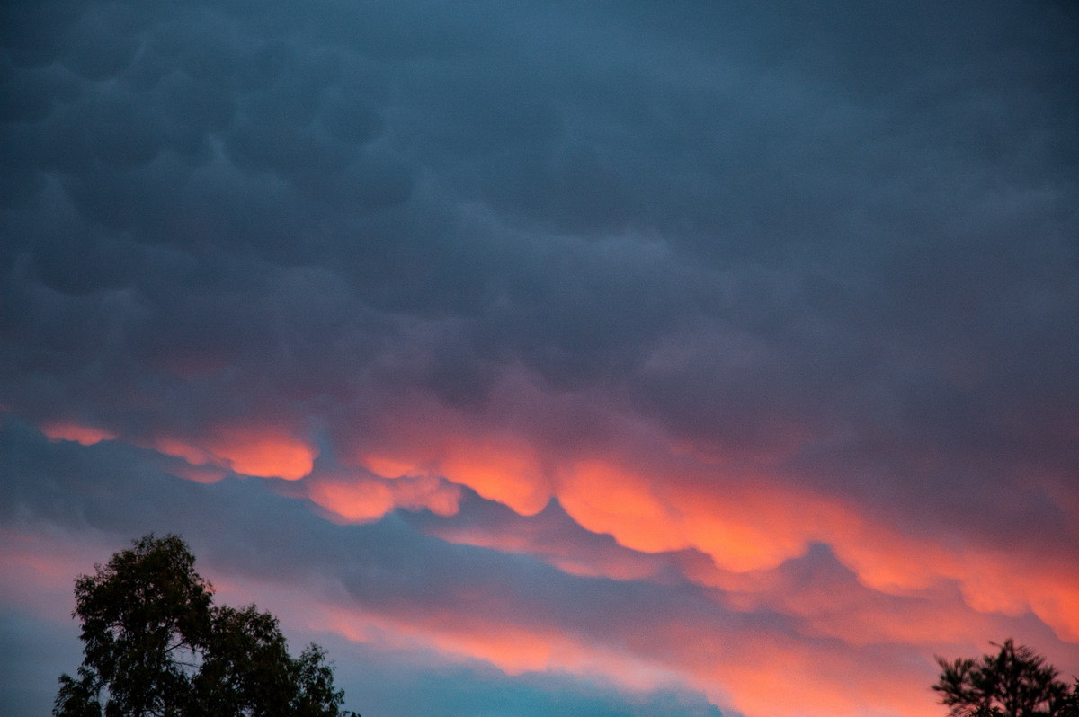 mammatus mammatus_cloud : McLeans Ridges, NSW   10 February 2008