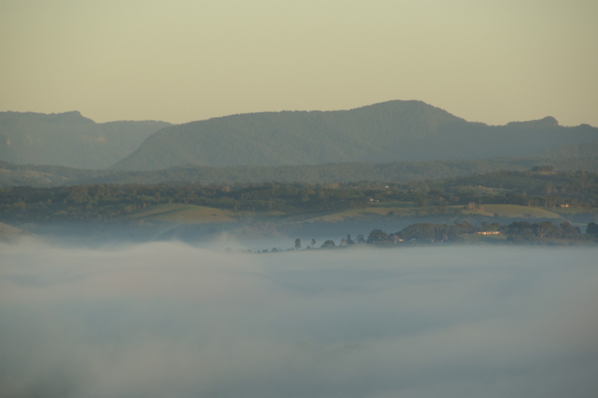 fogmist fog_mist_frost : McLeans Ridges, NSW   23 February 2008