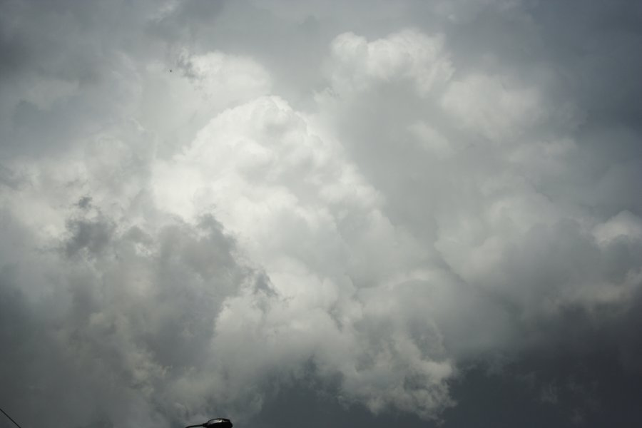 updraft thunderstorm_updrafts : near Fairfield, NSW   26 February 2008