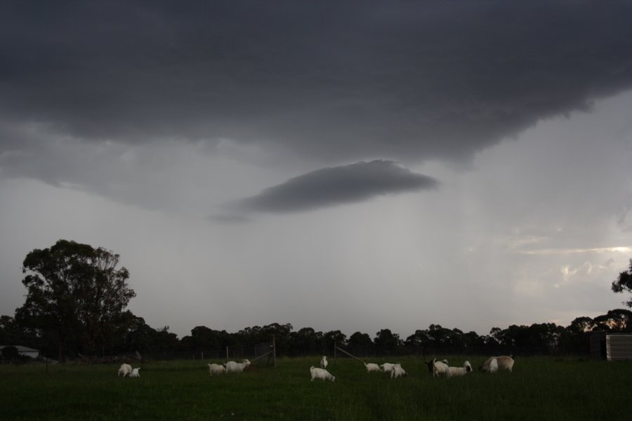 cumulonimbus thunderstorm_base : Schofields, NSW   27 February 2008