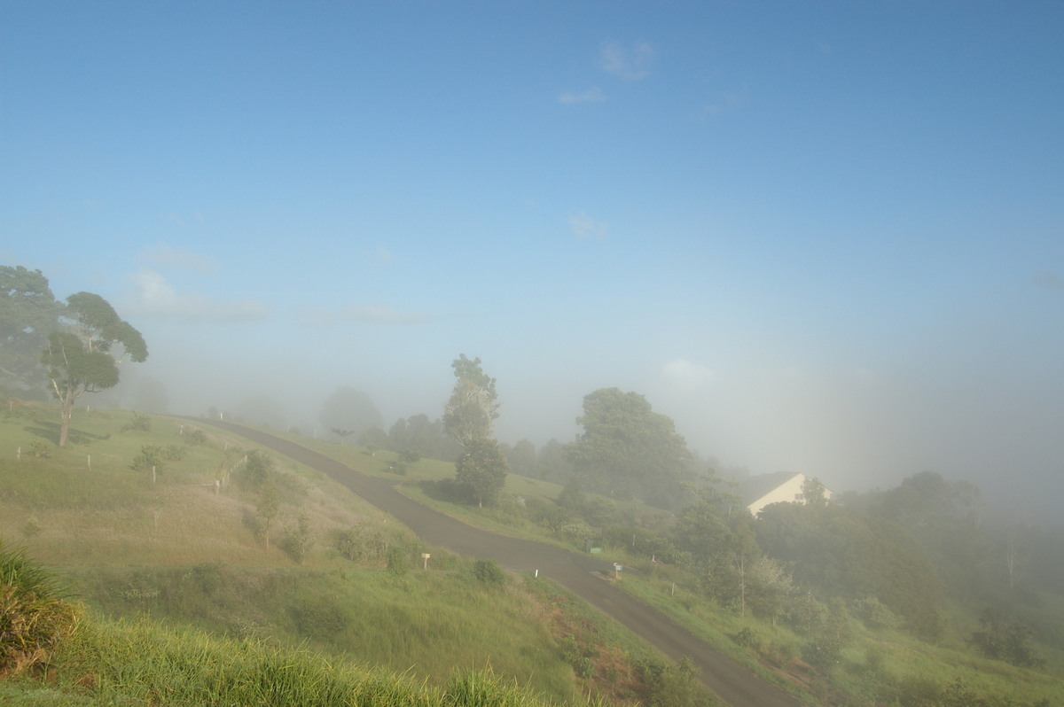 fogmist fog_mist_frost : McLeans Ridges, NSW   11 March 2008