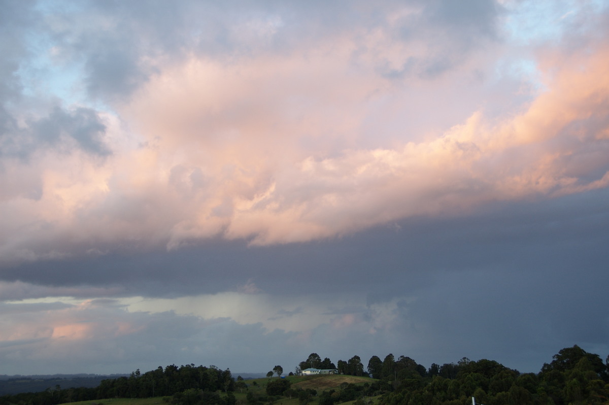 cumulus mediocris : McLeans Ridges, NSW   11 March 2008