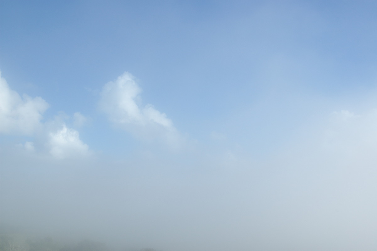 fogmist fog_mist_frost : McLeans Ridges, NSW   15 March 2008