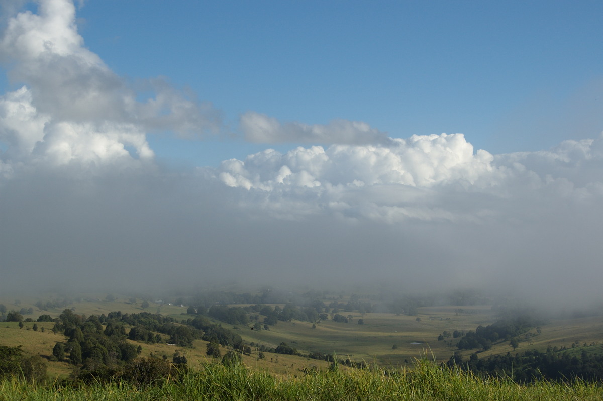 cumulus congestus : McLeans Ridges, NSW   15 March 2008