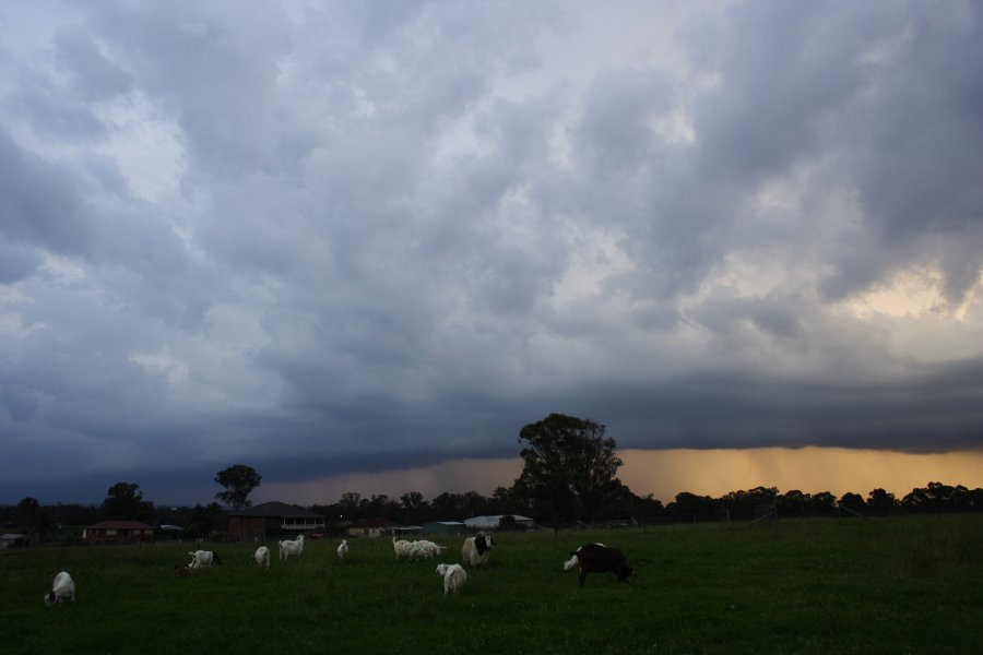 shelfcloud shelf_cloud : Schofields, NSW   24 March 2008