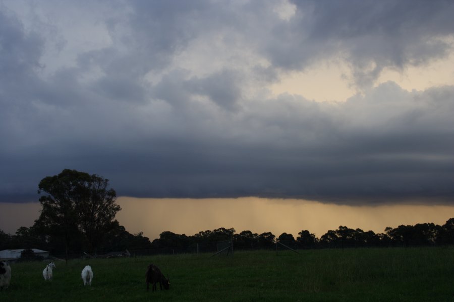 sunset sunset_pictures : Schofields, NSW   24 March 2008