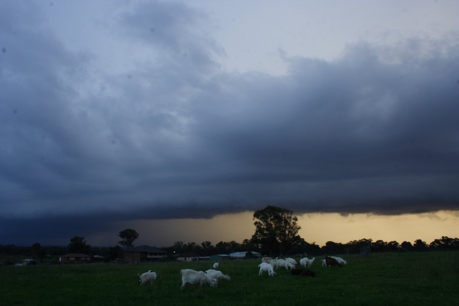 shelfcloud shelf_cloud : Schofields, NSW   24 March 2008