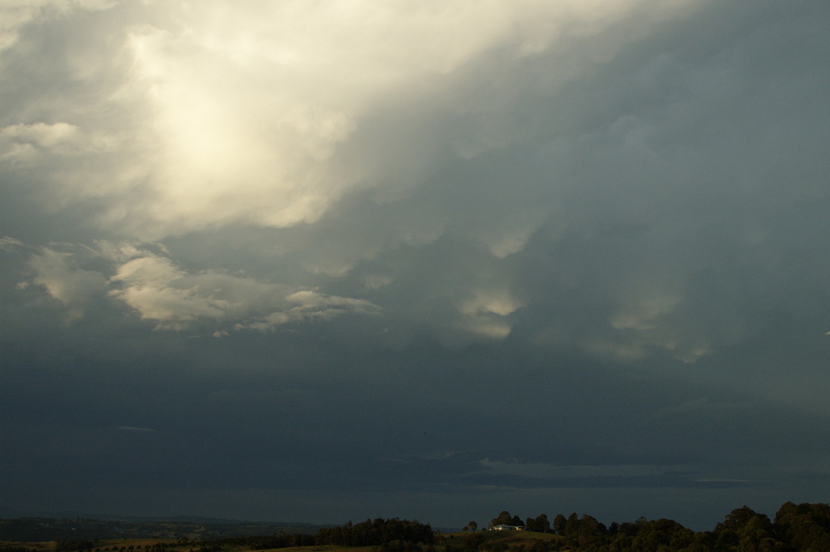 mammatus mammatus_cloud : McLeans Ridges, NSW   26 March 2008