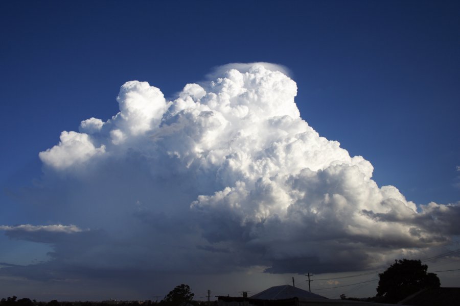 updraft thunderstorm_updrafts : Schofields, NSW   29 March 2008