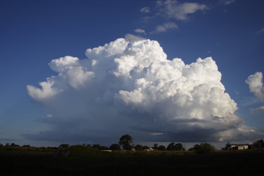 inflowband thunderstorm_inflow_band : Schofields, NSW   29 March 2008