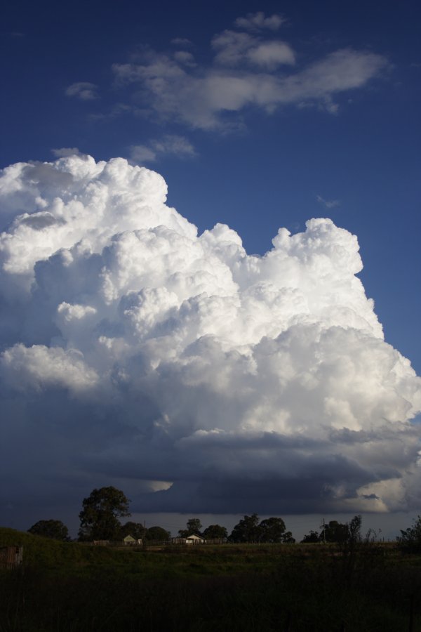 thunderstorm cumulonimbus_calvus : Schofields, NSW   29 March 2008