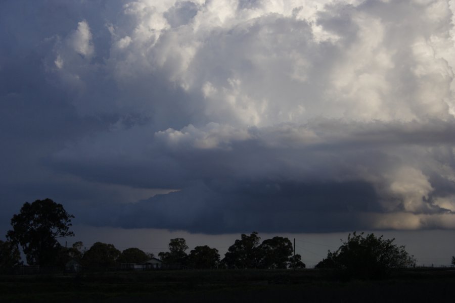 cumulonimbus thunderstorm_base : Schofields, NSW   29 March 2008