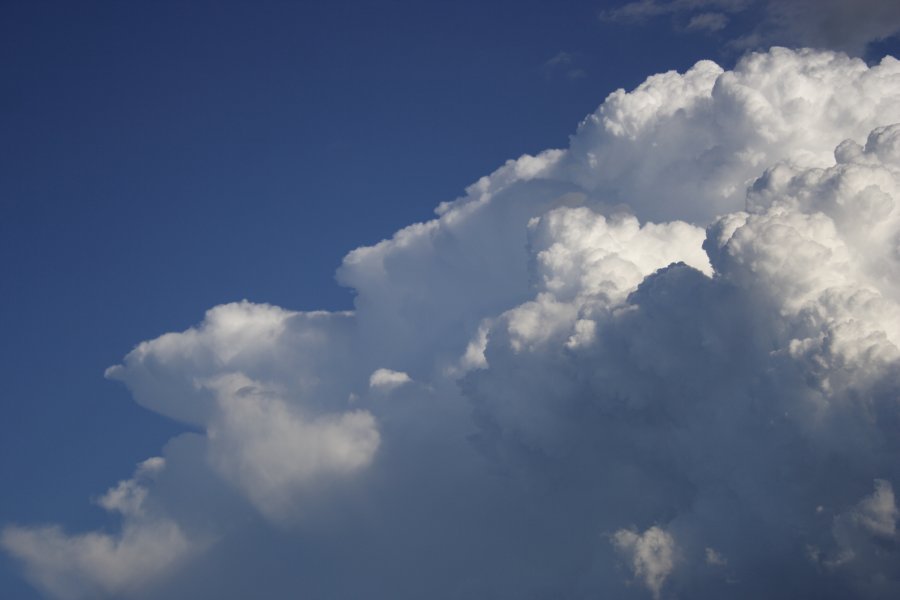 updraft thunderstorm_updrafts : Schofields, NSW   29 March 2008