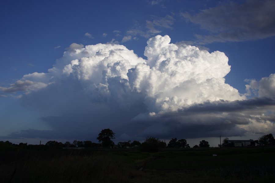 thunderstorm cumulonimbus_calvus : Schofields, NSW   29 March 2008