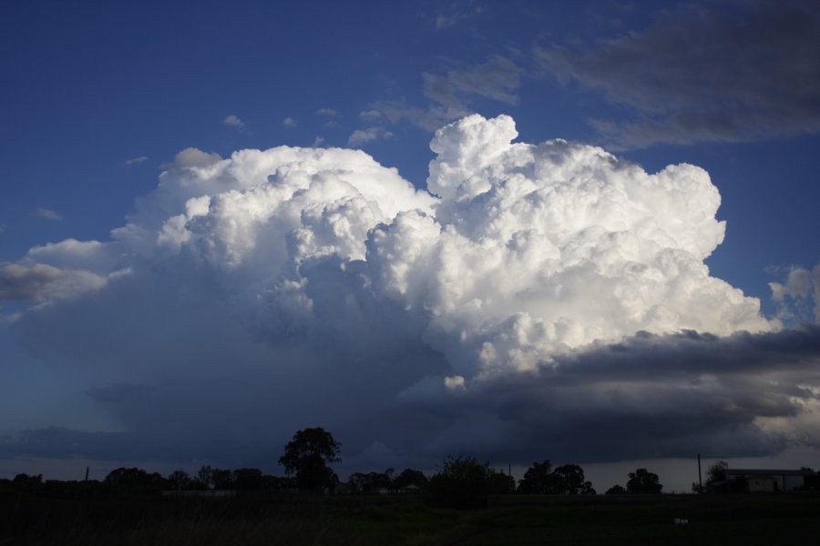 inflowband thunderstorm_inflow_band : Schofields, NSW   29 March 2008