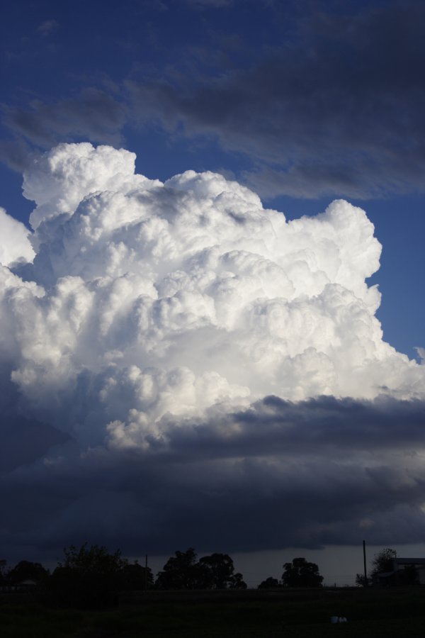 updraft thunderstorm_updrafts : Schofields, NSW   29 March 2008