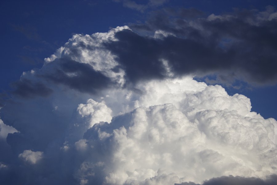 updraft thunderstorm_updrafts : Schofields, NSW   29 March 2008