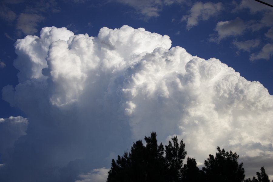 updraft thunderstorm_updrafts : Kellyville, NSW   29 March 2008