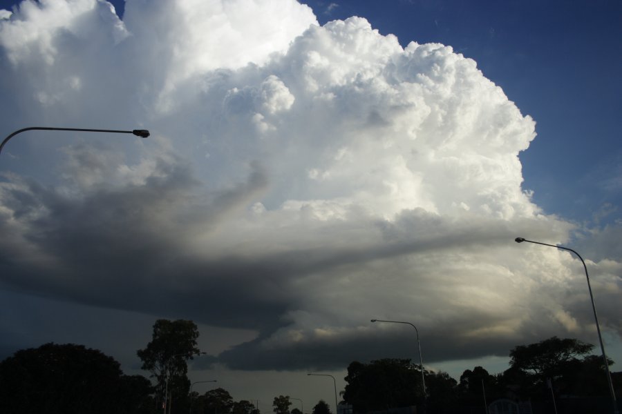 updraft thunderstorm_updrafts : Baulkham Hills, NSW   29 March 2008