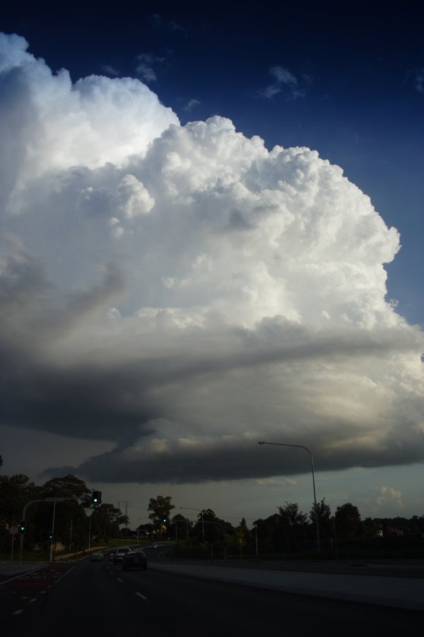 updraft thunderstorm_updrafts : Baulkham Hills, NSW   29 March 2008