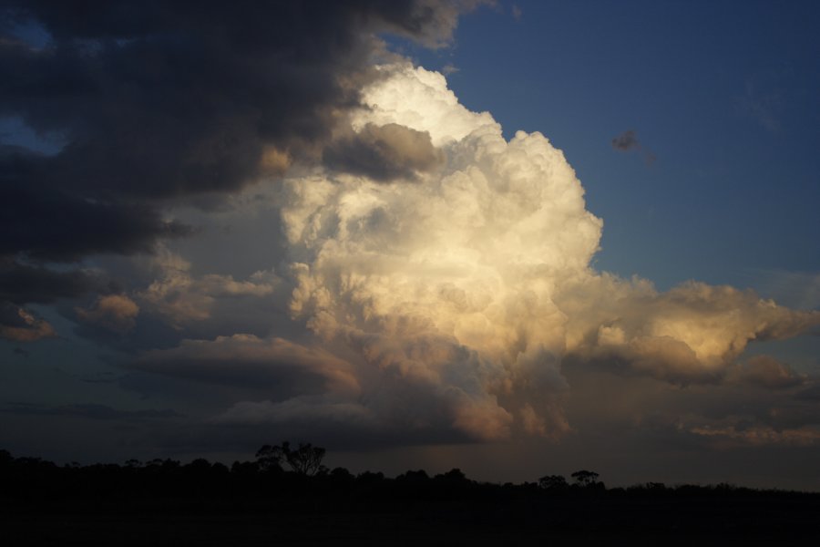 updraft thunderstorm_updrafts : Schofields, NSW   29 March 2008