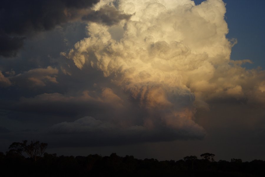 updraft thunderstorm_updrafts : Schofields, NSW   29 March 2008