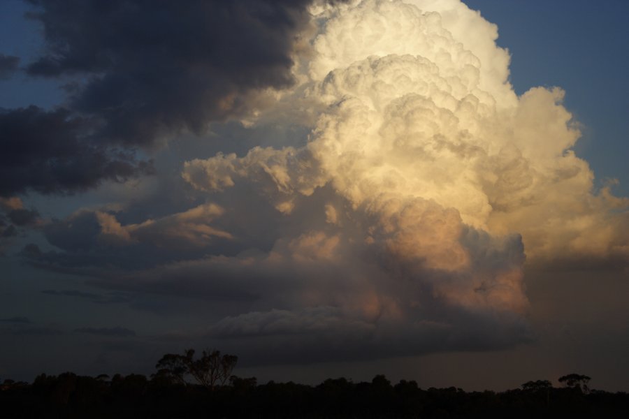 thunderstorm cumulonimbus_incus : Schofields, NSW   29 March 2008