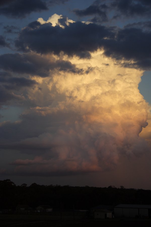 inflowband thunderstorm_inflow_band : Schofields, NSW   29 March 2008