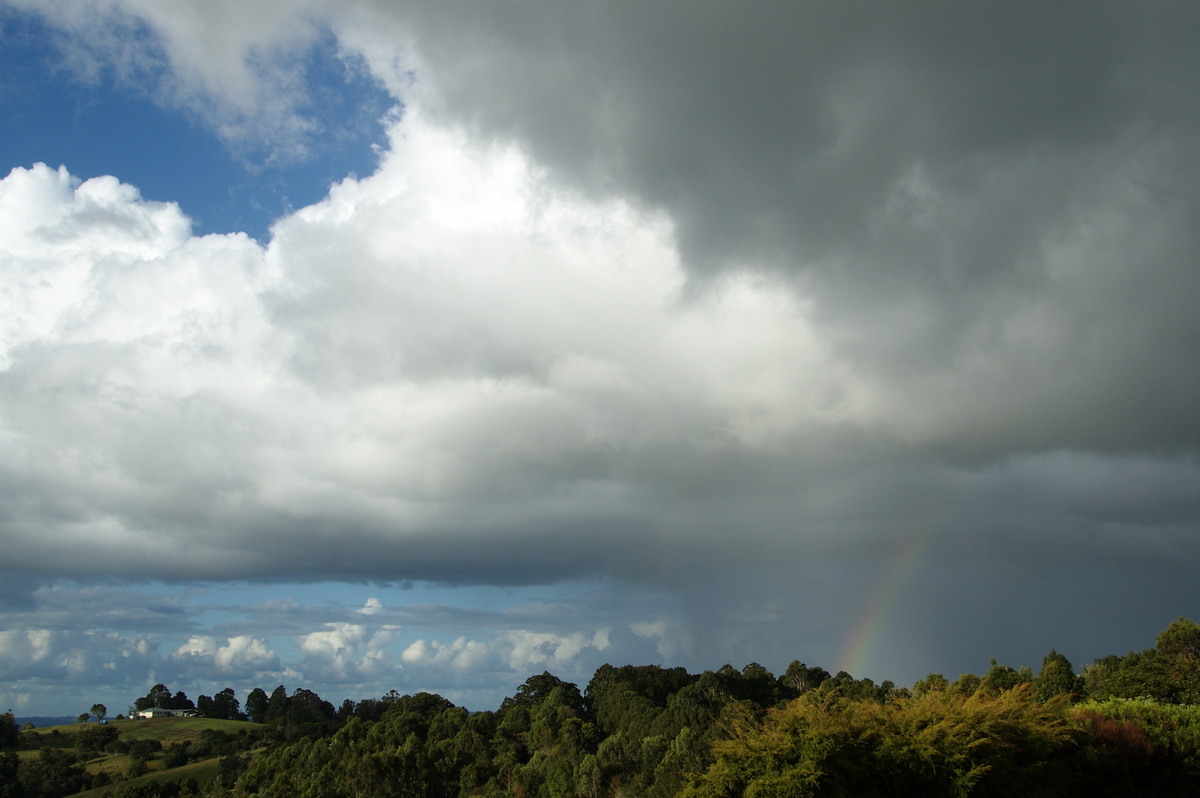 rainbow rainbow_pictures : McLeans Ridges, NSW   6 April 2008