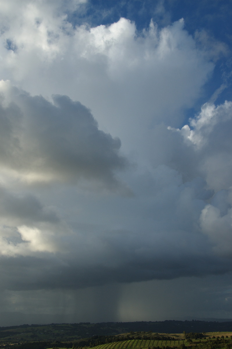 cumulus congestus : McLeans Ridges, NSW   6 April 2008