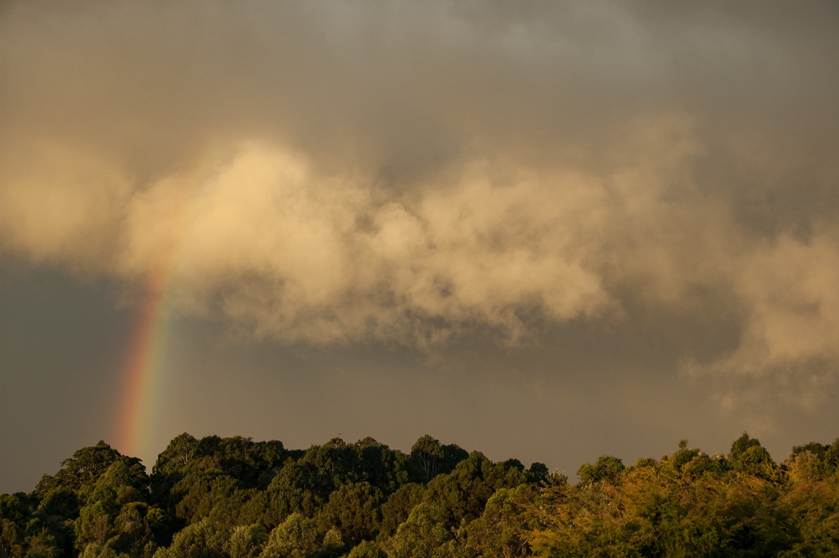 rainbow rainbow_pictures : McLeans Ridges, NSW   6 April 2008