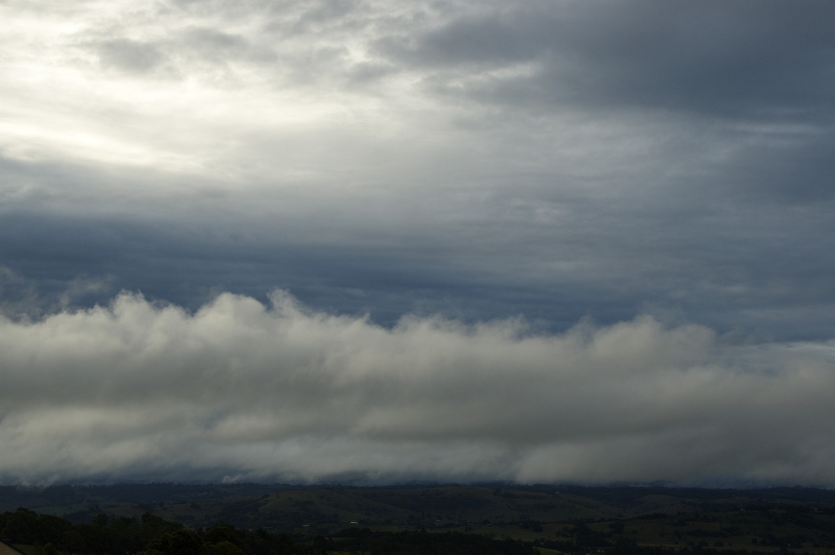 stratus stratus_cloud : McLeans Ridges, NSW   9 April 2008