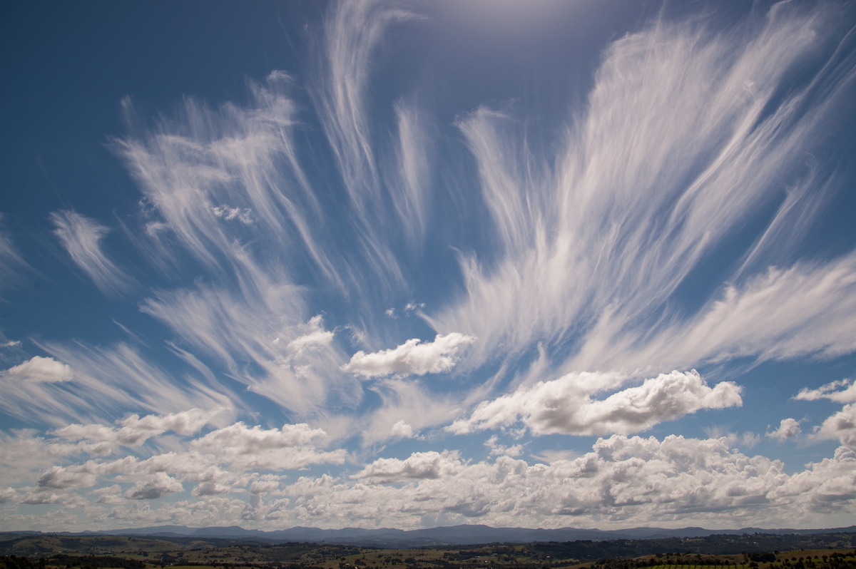 cirrus cirrus_cloud : McLeans Ridges, NSW   13 April 2008