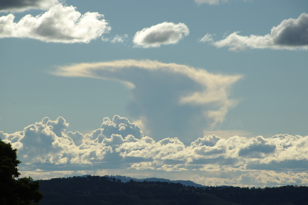 anvil thunderstorm_anvils : McLeans Ridges, NSW   24 April 2008