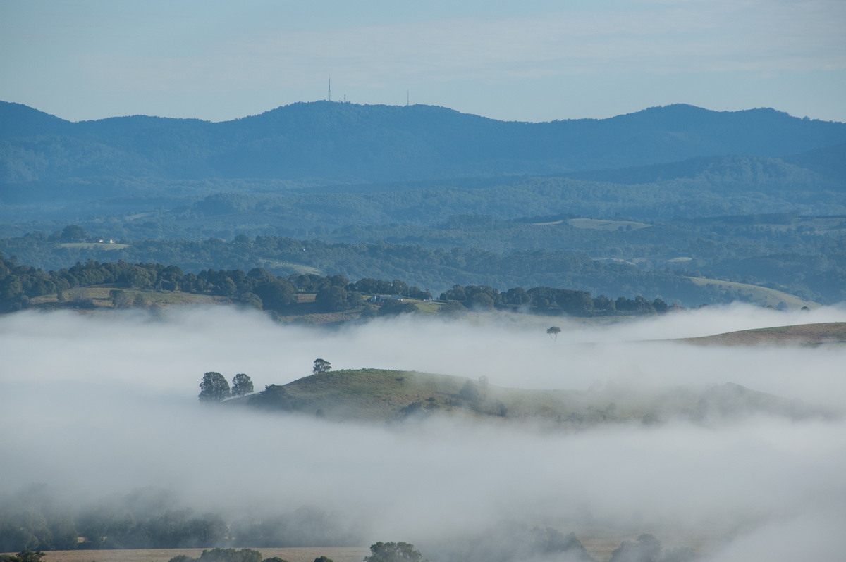 fogmist fog_mist_frost : McLeans Ridges, NSW   17 May 2008