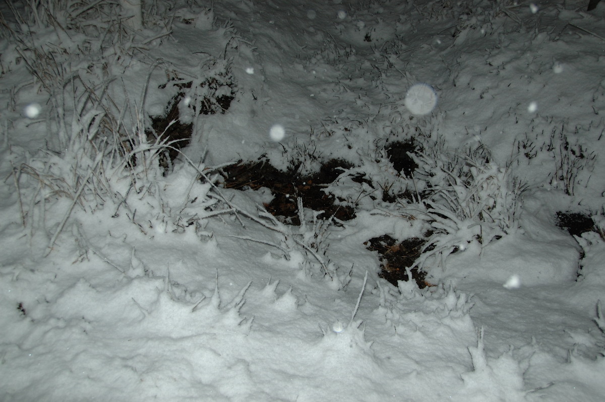 snow snow_pictures : Ben Lomond, NSW   17 May 2008