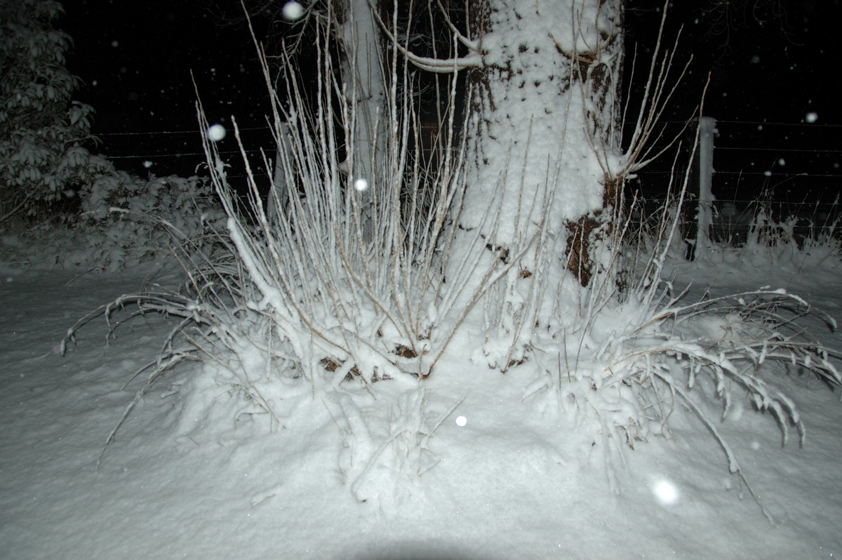 snow snow_pictures : Ben Lomond, NSW   17 May 2008