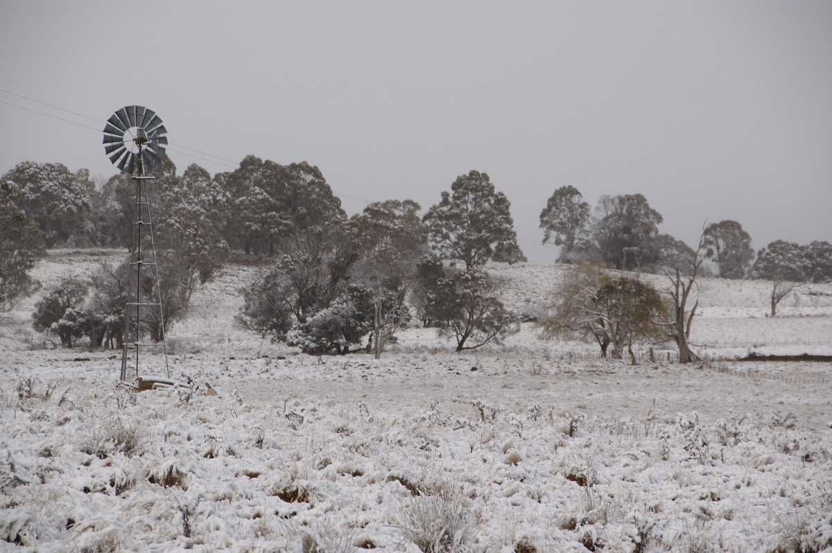 snow snow_pictures : Guyra, NSW   18 May 2008