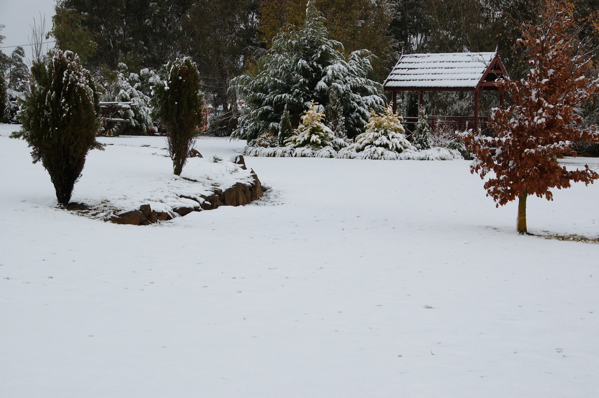 snow snow_pictures : Guyra, NSW   18 May 2008