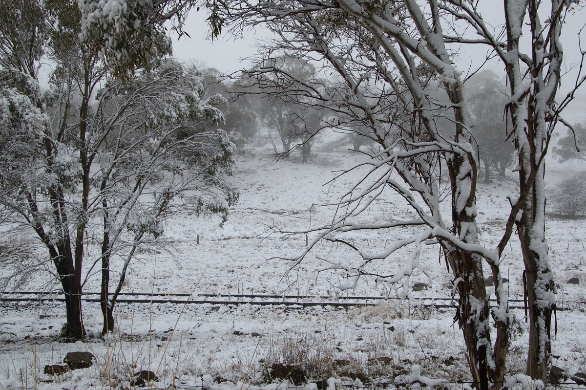 snow snow_pictures : Ben Lomond, NSW   18 May 2008