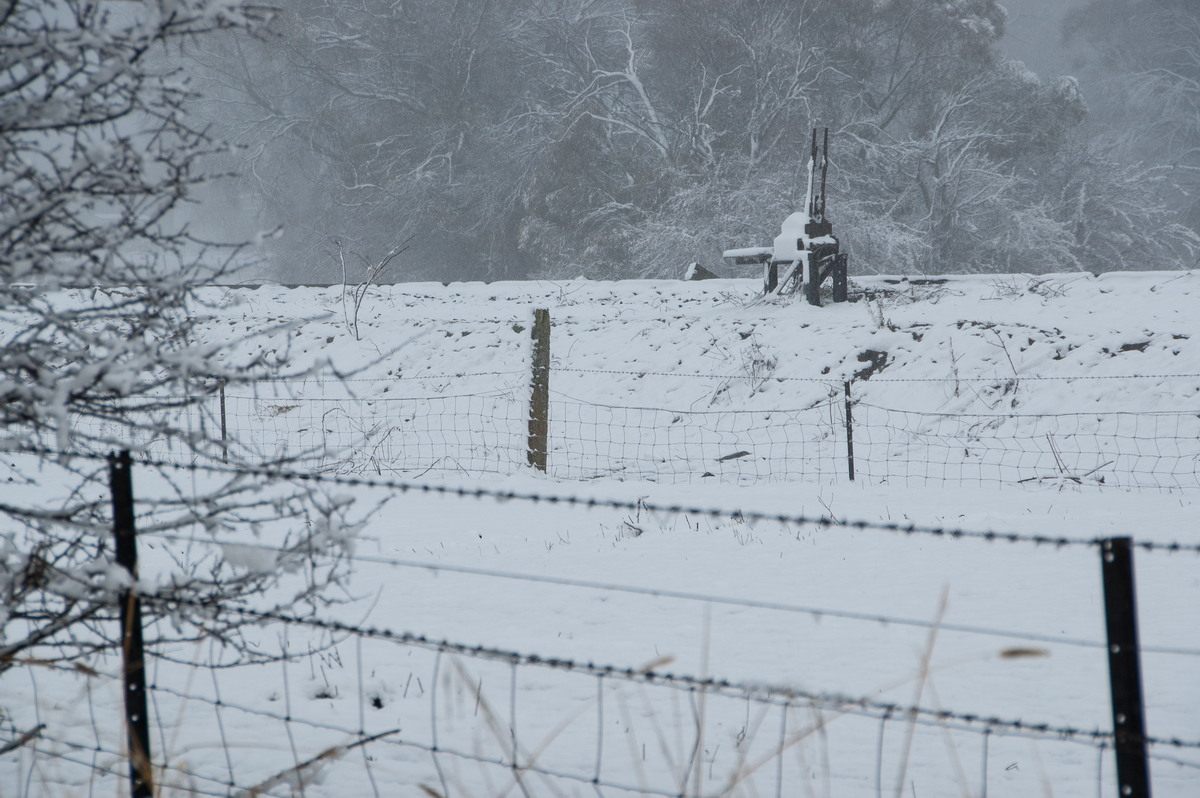 snow snow_pictures : Ben Lomond, NSW   18 May 2008