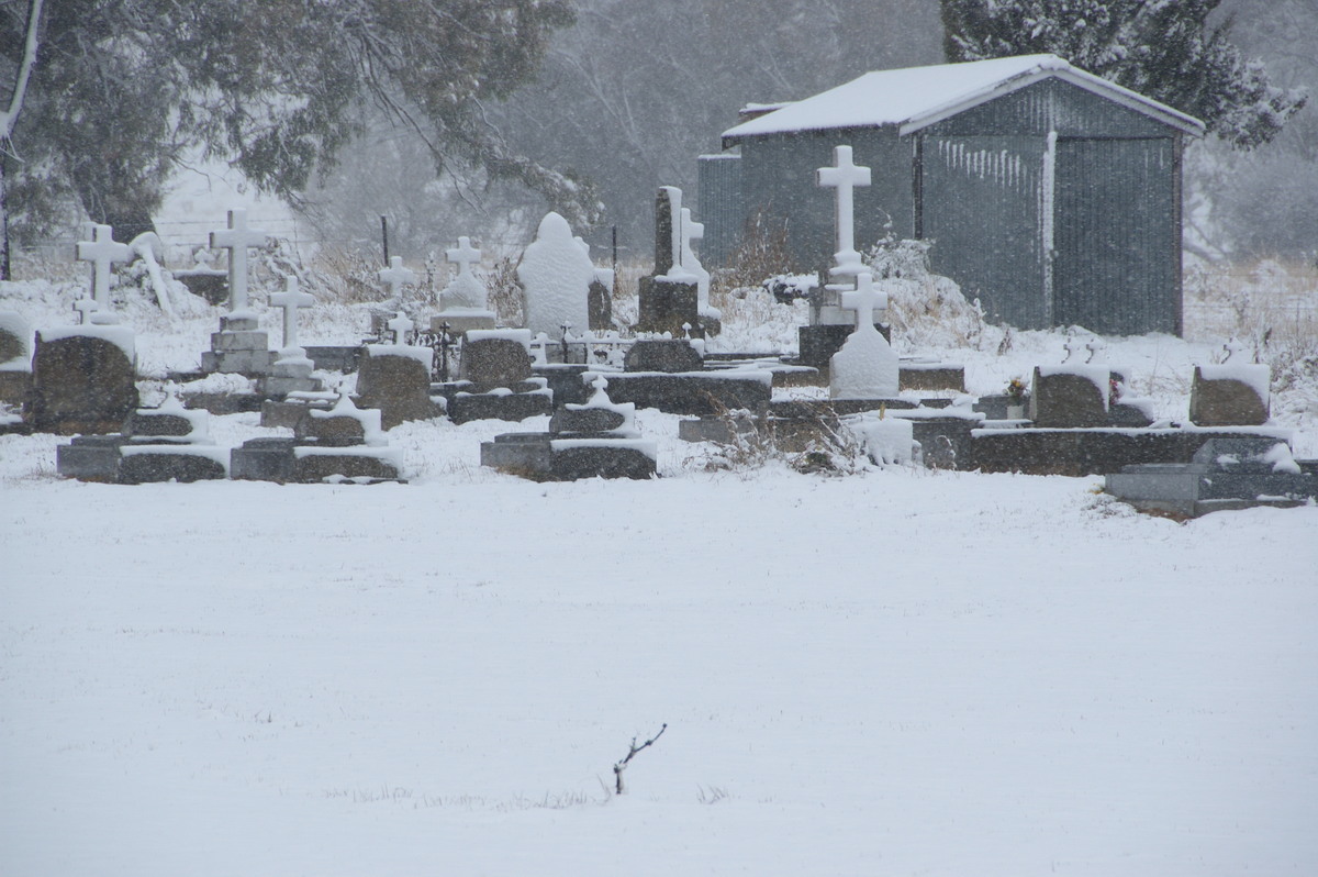 snow snow_pictures : Ben Lomond, NSW   18 May 2008